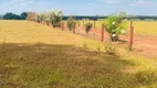 Foto 23 de Fazenda/Sítio com 2 Quartos à venda, 11850000m² em Area Rural de Uberaba, Uberaba