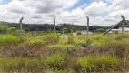 Foto 3 de Lote/Terreno à venda, 362m² em Riozinho, Irati