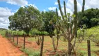 Foto 15 de Fazenda/Sítio com 3 Quartos à venda, 180000m² em Area Rural de Planaltina, Brasília