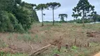 Foto 3 de Fazenda/Sítio com 1 Quarto à venda, 6000m² em Campo Largo da Roseira, São José dos Pinhais