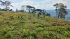 Foto 12 de Fazenda/Sítio à venda, 50000m² em Centro, Alfredo Wagner