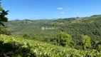 Foto 41 de Lote/Terreno à venda, 150000m² em Vale dos Vinhedos, Bento Gonçalves