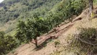 Foto 30 de Fazenda/Sítio com 3 Quartos à venda, 320m² em , Monteiro Lobato