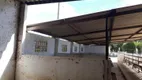 Foto 4 de Fazenda/Sítio com 3 Quartos à venda, 80000m² em Centro, Santa Maria