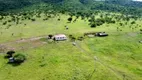 Foto 17 de Fazenda/Sítio à venda, 2060000m² em Centro, Serra Preta