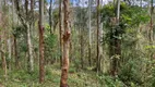 Foto 21 de Fazenda/Sítio à venda, 448000m² em Pedra Branca, Alfredo Wagner