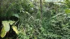 Foto 11 de Casa com 4 Quartos à venda, 388m² em Jardim Botânico, Rio de Janeiro