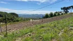 Foto 87 de Lote/Terreno à venda, 120000m² em Vale dos Vinhedos, Bento Gonçalves