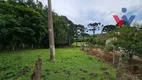 Foto 10 de Fazenda/Sítio com 6 Quartos à venda, 254100m² em Zona Rural, Araucária