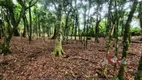 Foto 21 de Fazenda/Sítio com 1 Quarto à venda, 5000m² em Faxina, São José dos Pinhais