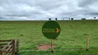 Foto 7 de Fazenda/Sítio à venda, 8712000m² em Zona Rural, Quirinópolis