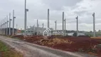 Foto 3 de Galpão/Depósito/Armazém para alugar, 800m² em Cara Cara, Ponta Grossa