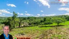 Foto 9 de Fazenda/Sítio à venda, 15000m² em Zona Rural, Parobé