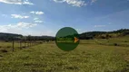 Foto 4 de Fazenda/Sítio à venda, 919600m² em Zona Rural, Petrolina de Goiás