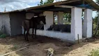 Foto 6 de Fazenda/Sítio com 3 Quartos à venda, 85000m² em Centro, Ielmo Marinho