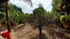 Foto 11 de Fazenda/Sítio com 1 Quarto à venda, 1300m² em Centro, Limeira