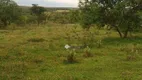 Foto 3 de Fazenda/Sítio à venda, 24200m² em Chácara Recreio Nossa Senhora do Líbano Zona Rural , São José do Rio Preto