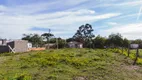 Foto 4 de Lote/Terreno para alugar, 940m² em Fragata, Pelotas