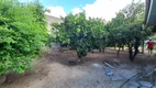 Foto 10 de Fazenda/Sítio com 4 Quartos à venda, 221m² em Aririu da Formiga, Palhoça