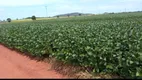 Foto 3 de Fazenda/Sítio à venda em Centro, Barro Alto