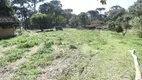 Foto 15 de Lote/Terreno para alugar, 18000m² em Estados, Fazenda Rio Grande