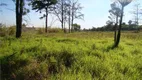 Foto 2 de Lote/Terreno à venda, 9700m² em Bela Vista, Paulínia