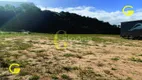 Foto 6 de Lote/Terreno à venda, 9000m² em Sitio Pinheiro Altos, Barueri