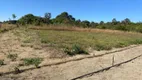 Foto 8 de Fazenda/Sítio com 3 Quartos à venda, 40000m² em Planaltina, Brasília