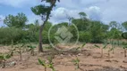 Foto 4 de Fazenda/Sítio à venda, 4m² em , Barão de Melgaço