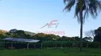 Foto 7 de Fazenda/Sítio à venda, 363000m² em Area Rural de Apucarana, Apucarana