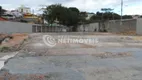 Foto 9 de Lote/Terreno à venda, 1400m² em Floramar, Belo Horizonte