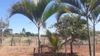 Foto 5 de Fazenda/Sítio à venda, 5000m² em Brazlândia, Brasília