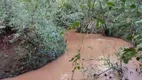 Foto 8 de Fazenda/Sítio com 4 Quartos à venda, 250m² em Zona Rural, Ibiporã