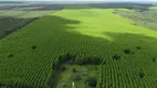 Foto 19 de Fazenda/Sítio com 4 Quartos à venda, 26600000m² em Zona Rural, Catalão