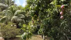 Foto 19 de Fazenda/Sítio com 4 Quartos à venda, 5304m² em Chácaras Berro D água, Itu