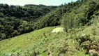 Foto 9 de Fazenda/Sítio à venda, 74000m² em Pedra Branca, Alfredo Wagner