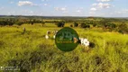 Foto 9 de Fazenda/Sítio à venda, 20812000m² em Zona Rural, Rubiataba