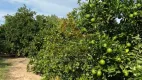 Foto 8 de Fazenda/Sítio com 4 Quartos à venda, 2500000m² em , Patrocínio Paulista