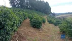 Foto 16 de Fazenda/Sítio com 2 Quartos à venda, 120000m² em Zona Rural, São João da Mata