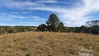 Foto 2 de Fazenda/Sítio com 1 Quarto à venda, 30000m² em Cotia, São José dos Pinhais