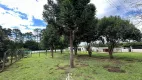 Foto 11 de Fazenda/Sítio à venda, 100m² em Borda do Campo, Piraquara