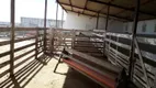 Foto 6 de Fazenda/Sítio com 3 Quartos à venda, 80000m² em Centro, Santa Maria
