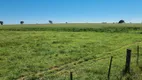 Foto 6 de Fazenda/Sítio à venda, 7000m² em Zona Rural, Guiratinga