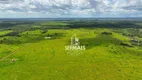 Foto 13 de Fazenda/Sítio à venda, 8280000m² em Zona Rural, Pimenta Bueno