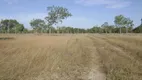 Foto 6 de Lote/Terreno à venda, 45000000m² em Setor Central, Taipas do Tocantins