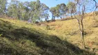 Foto 9 de Fazenda/Sítio à venda, 30000m² em Centro, Extrema