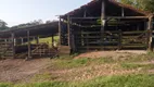 Foto 14 de Fazenda/Sítio à venda, 121000m² em Centro, Cesário Lange