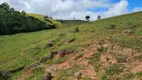 Foto 6 de Fazenda/Sítio com 2 Quartos à venda, 484000m² em Zona Rural, Piracaia