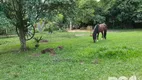 Foto 20 de Fazenda/Sítio à venda, 9584m² em Lami, Porto Alegre