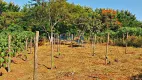 Foto 10 de Fazenda/Sítio com 3 Quartos à venda, 771m² em Jardim Tangará, São Carlos